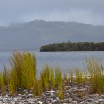 camping teds beach lake pedder