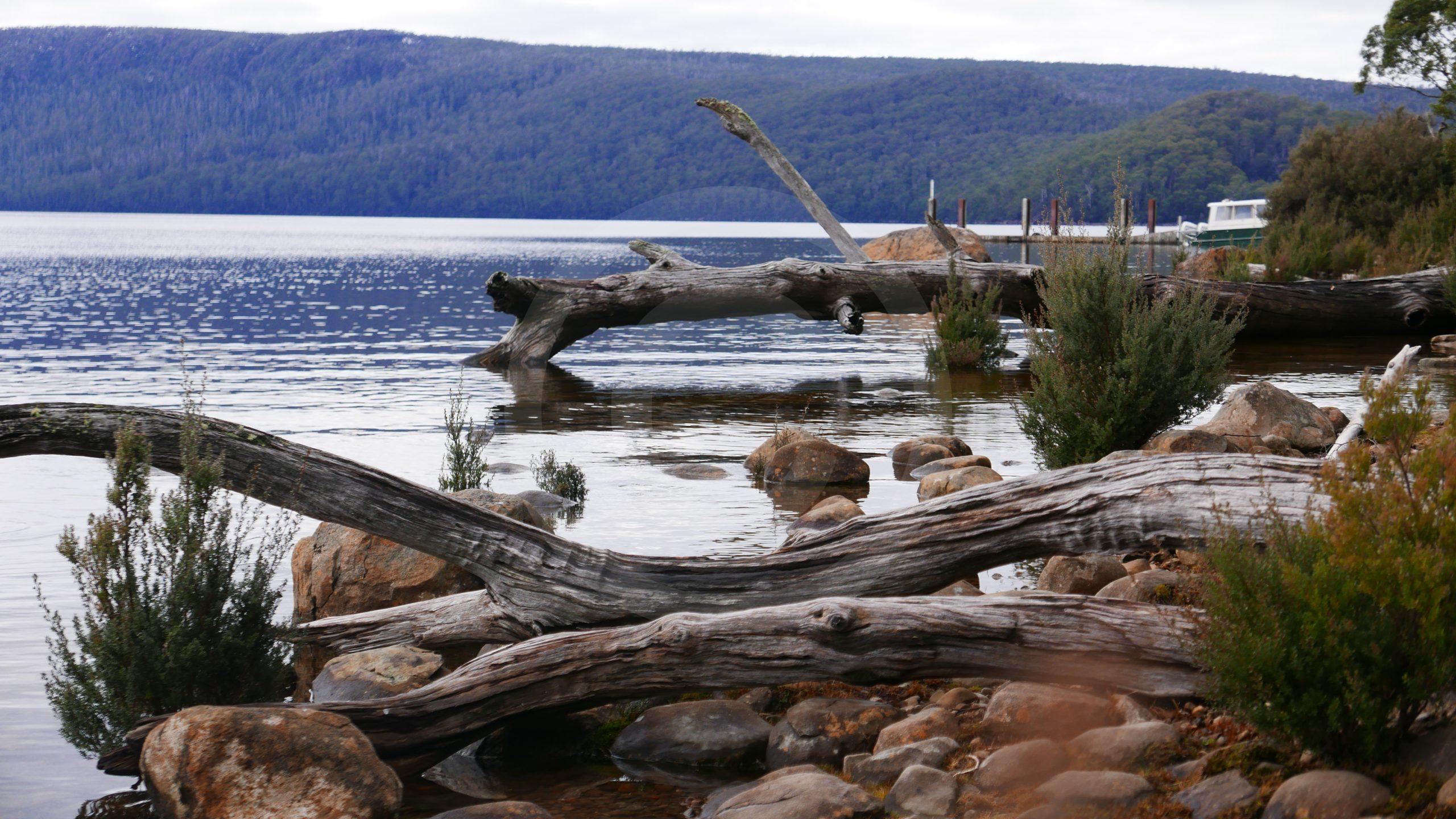 lake-st-clair-camping-free-cradle-mountain-national-park-overland-track